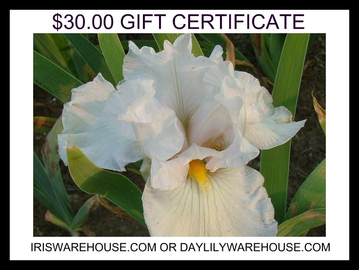 $30.00 Gift Certificate 