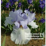 Eagle Control Iris