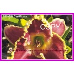 $25 Gift Certificate Daylily Photo