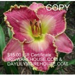 $15 gift certificate to Iriswarehouse & Daylilywarehouse