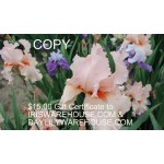 15 dollar gift certificate 