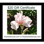 $20 Gift Certificate