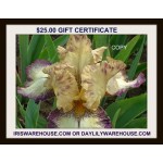 $25 Gift Certificate