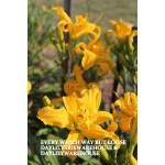 Every Which Way But Loose