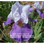 Smooth Move Iris