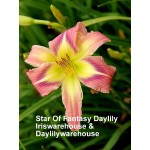 Star of Fantasy