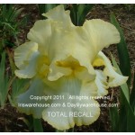 Total Recall Iris