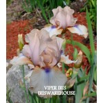 VIPER IRIS