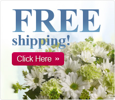 FREE shipping!