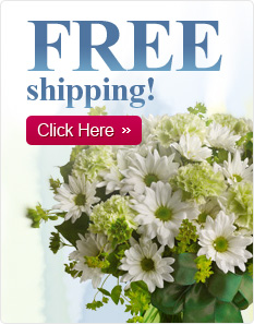 FREE shipping!
